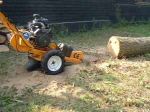 SP2000 Carlton  Stump Grinder